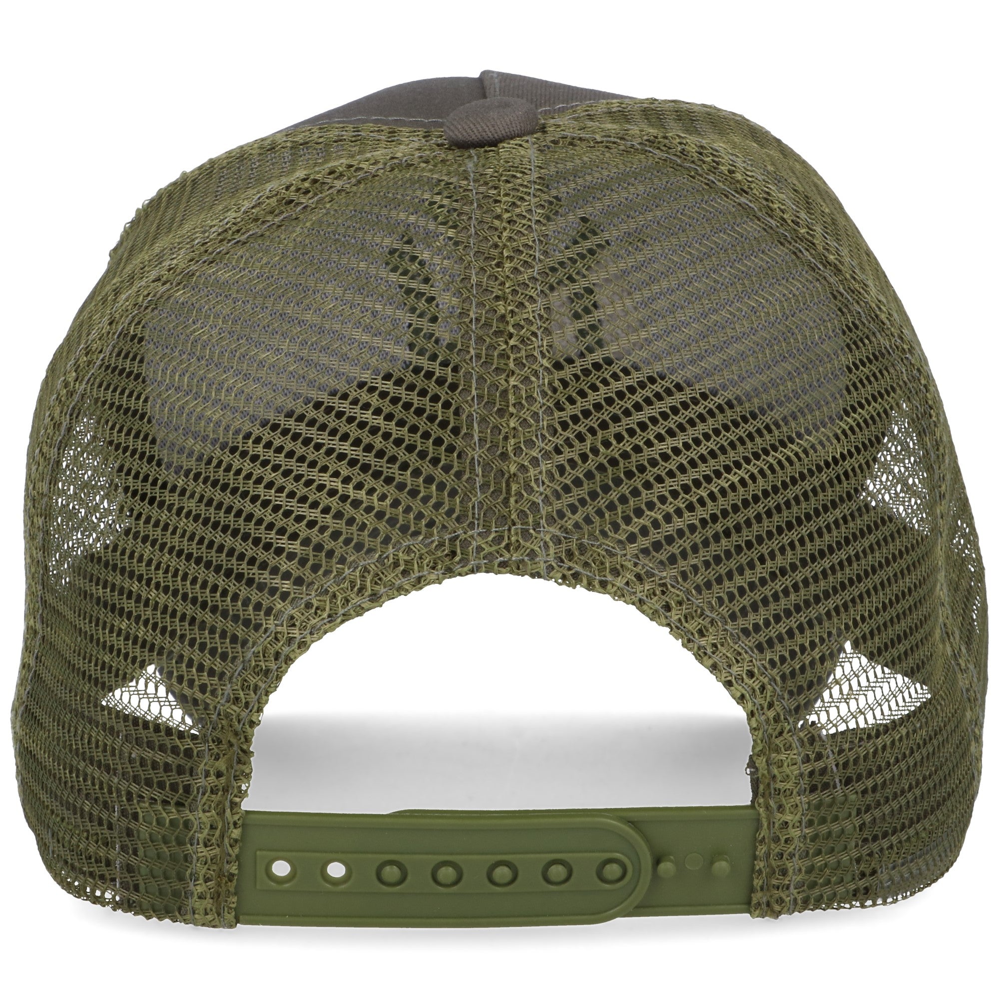 b3737d581c970ee333263e7e62e8fc8e