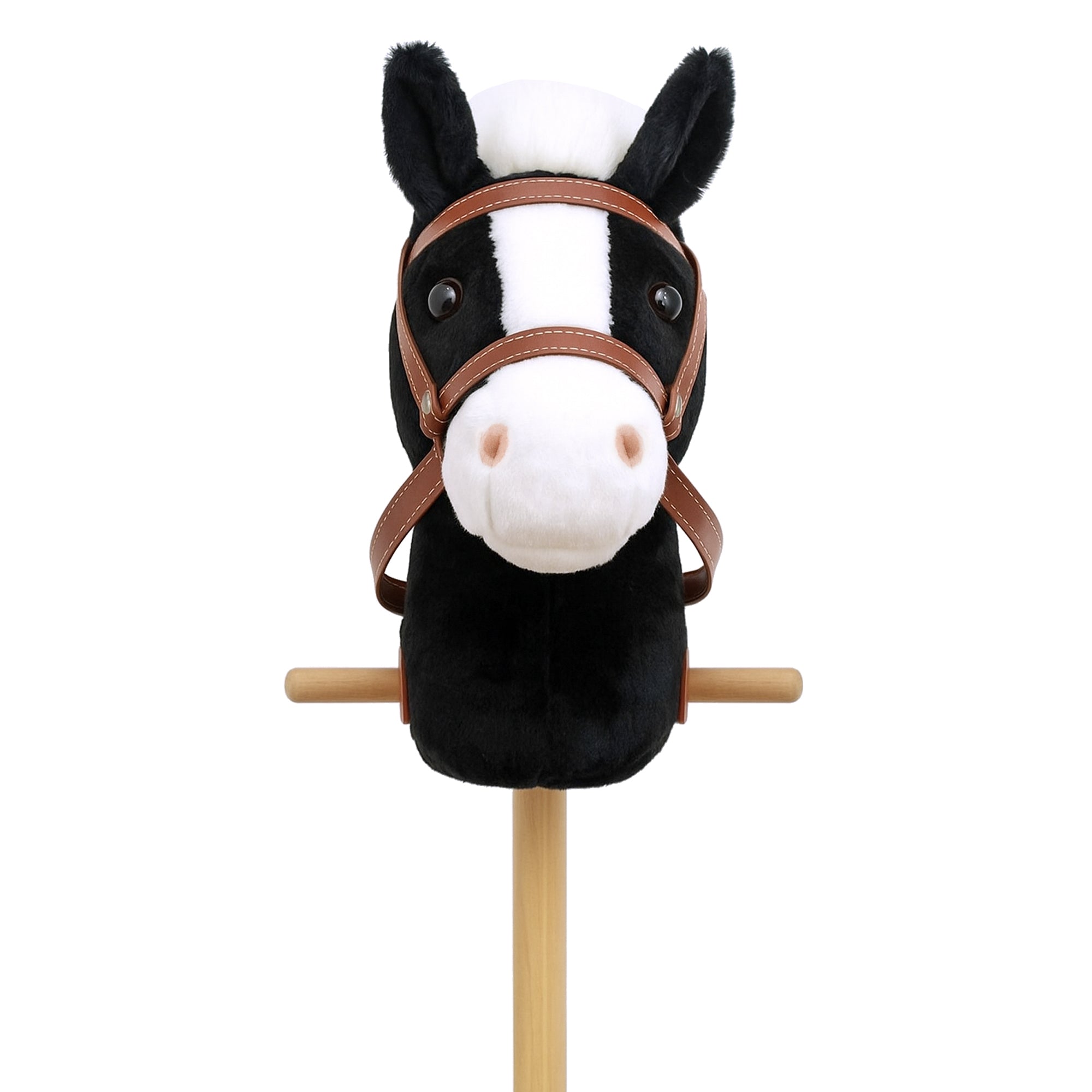 629a4170754c290716684fa76c3f71f2